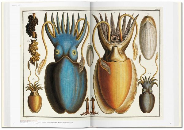 Buch „Cabinet of natural Curiosities”